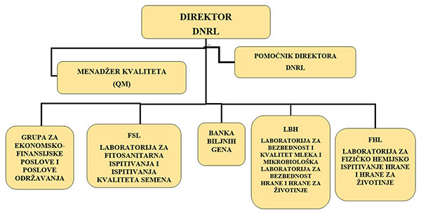 organizaciona struktura